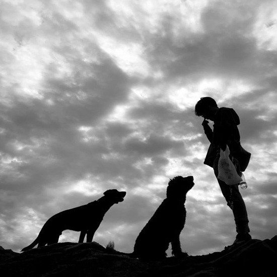 マルテとうなぎちゃん「閉塞感しか無い中、 毎日いつもと変わらずニコニコの顔で見てくれる犬たちにどれだけ救われたかと飼い主さん