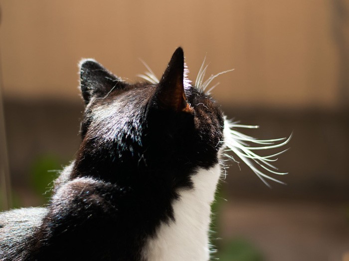 ベランダで外の空気を吸う。(小林写函撮影)