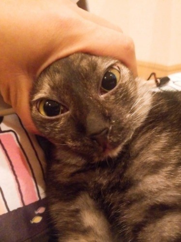 アニメのキャラクターみたい!(提供写真)