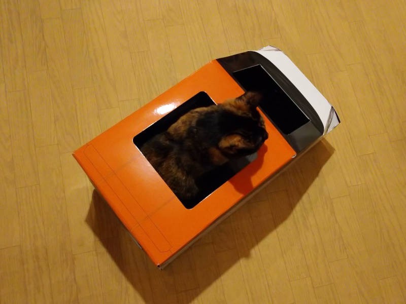 上から見てもカワイイ