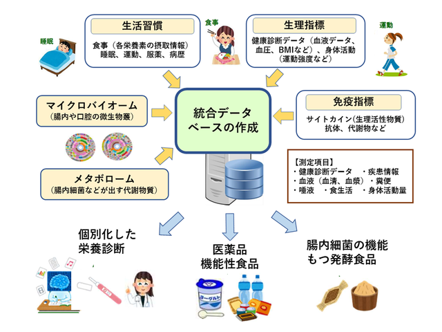 糖尿病/食材食品開発