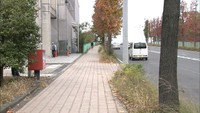 市街地にイノシシ出没 バイクの男性が転倒し手をかまれる、自転車の女性も転倒しけが 高松市