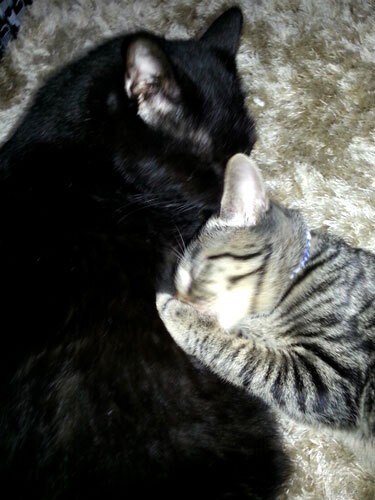 親子みたいな関係でしたが……