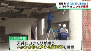 震災遺構の劣化対策 コウモリ駆除が始まる 宮城・大川小学校