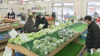 【解説】新型コロナや気候の影響で野菜の価格が乱高下…今後も不透明な中、家計への影響は 岡山