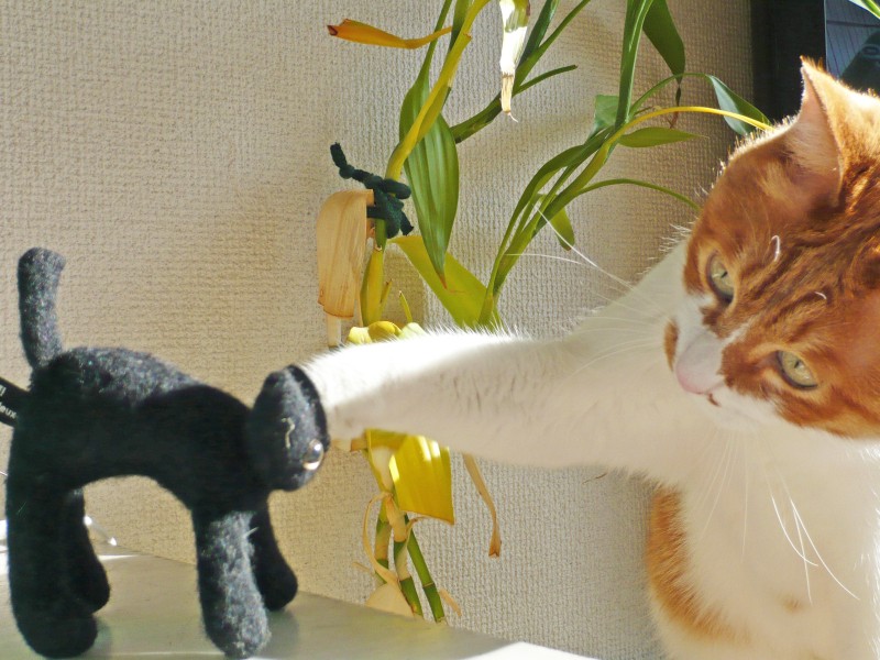 羊毛フェルトの黒猫に猫パンチ(Yさん提供)