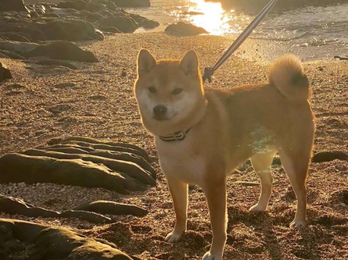 ゆり