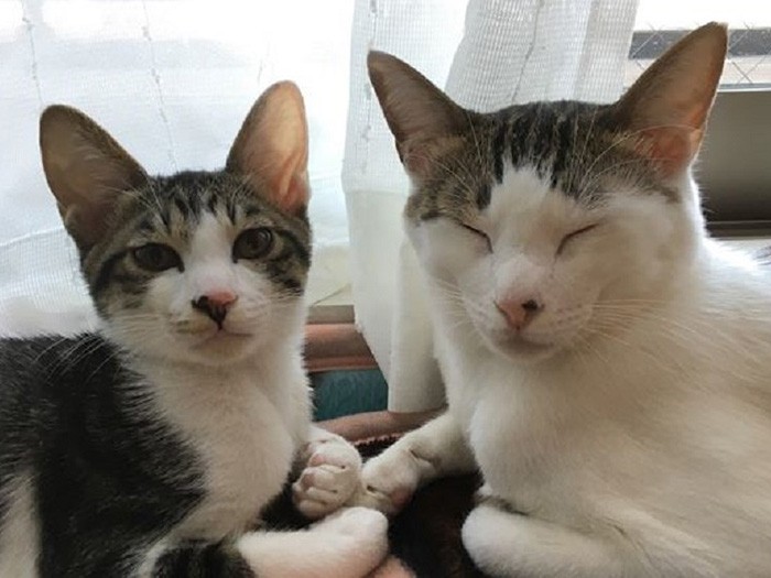 本当の兄弟以上なんだ