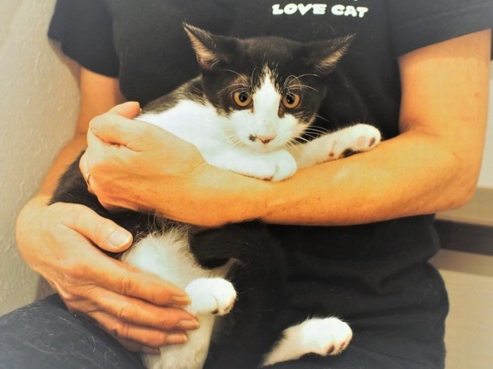 知らない人は苦手で、緊張顔のみらくる