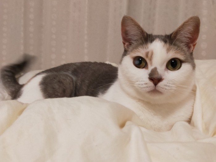 りお