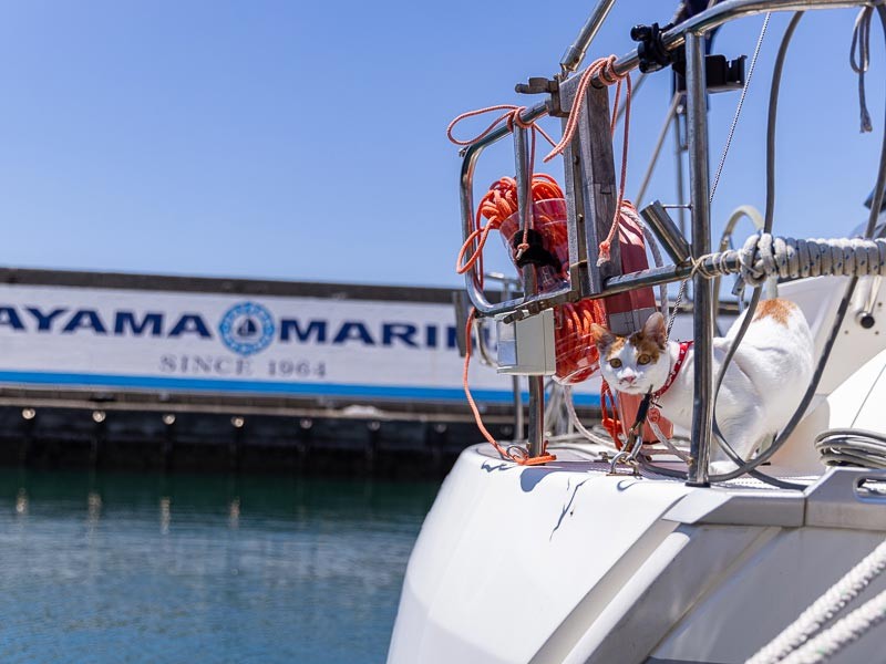 約1時間のクルージングを終え港に帰還