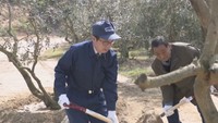 香川・豊島の産廃処理事業完了で知事が視察 住民とオリーブを植樹 安岐事務局長「気持ちを新たに共に一歩前に」