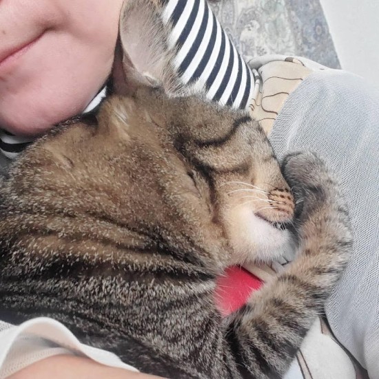 4歳の今も変わりません。ちゅうちゅう