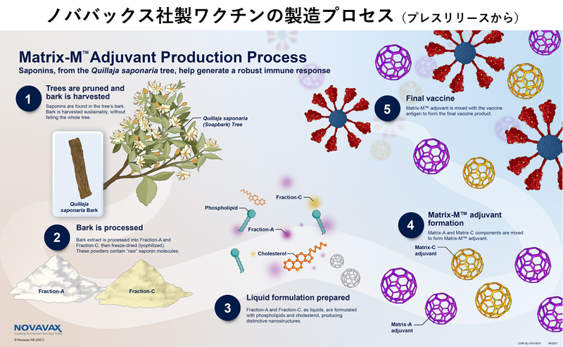 ノババックス製ワクチンの製造プロセス