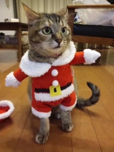 「あたし」の正体は幸せを届けるサンタ(河野さん提供)