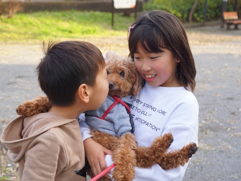 「ほらだいじょうぶだよ」