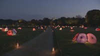 岡山後楽園・岡山城 秋のライトアップイベントの入場者数 ともに前年より減少