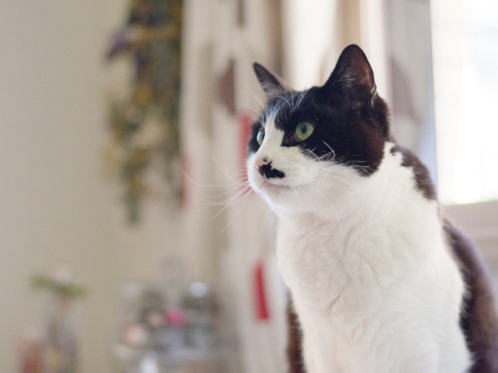 「おばちゃん、カレンダー11月のままだよ」(小林写函撮影)