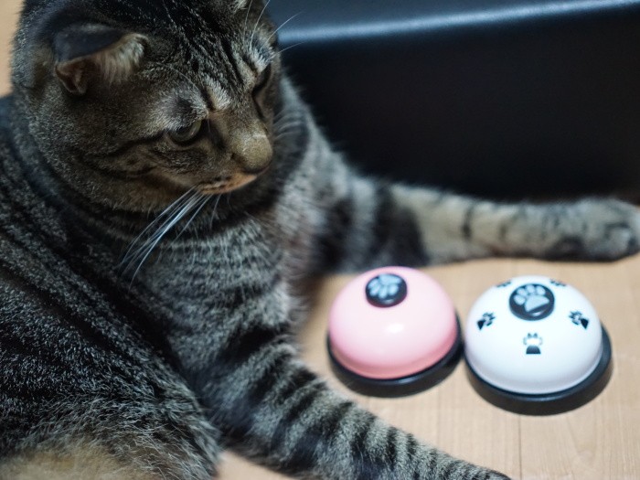 ベル鳴らしは「簡単ではない」みたい