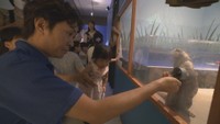 岡山市のデパートで期間限定の水族館、夏の夜をイメージしたユニークな企画