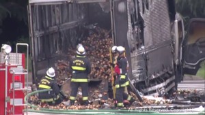 東北自動車道志波姫パーキングエリアでトラックが焼ける けが人は無し