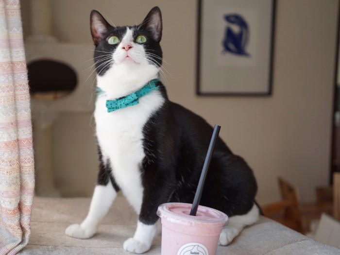 スムージーとドロップちゃん