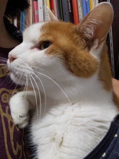 暑さ寒さも彼岸まで。お彼岸が過ぎて、今年もスリングを使う季節が始まりました。