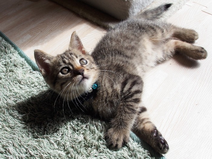 喜美子さん宅ですくすく育つ