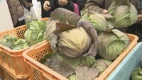 地元の農産物を生産者が販売 「食と農のフェスタ」 香川