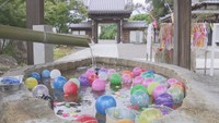 四国霊場の7つの寺で「七夕めぐり」 専用御朱印帳に手水舎で“小さな縁日”も