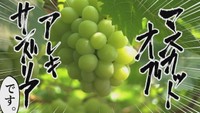 東京ホテイソンや声優・金元寿子さんが「岡山特産のブドウ」を動画でPR!第2弾