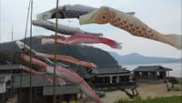 小豆島「二十四の瞳映画村」に12匹のこいのぼりがひと足早くお目見え 香川・小豆島町