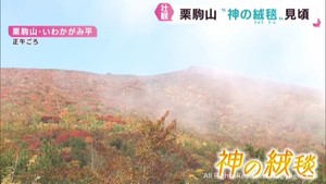 神の絨毯 紅葉進み登山客でにぎわう栗駒山