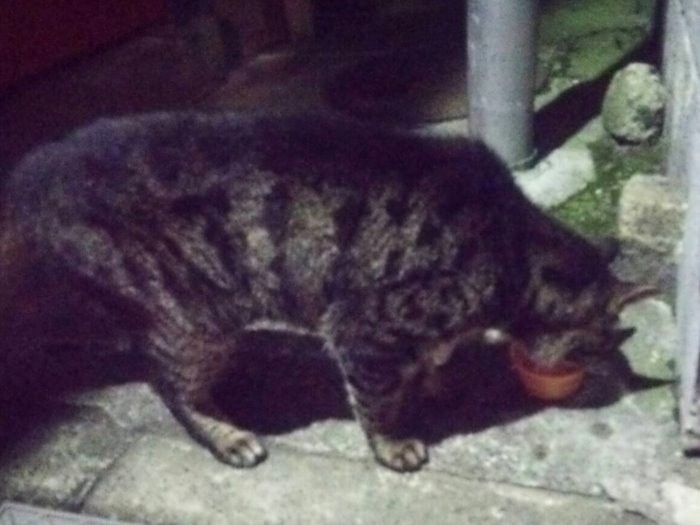 見守ってくれる町の人もいたけど