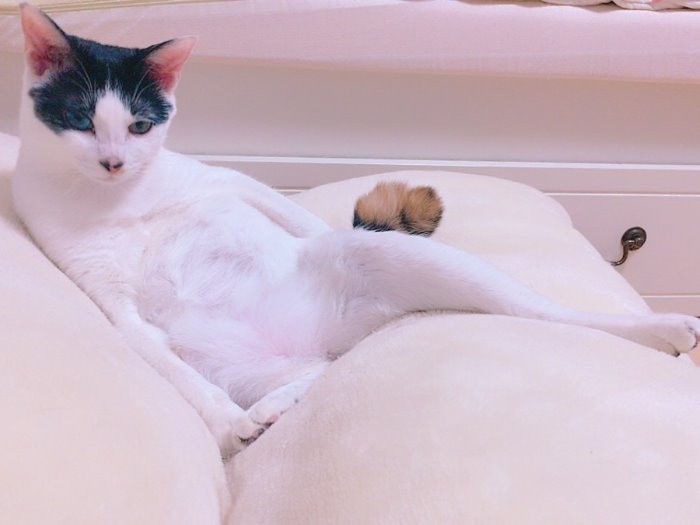 ひなこのアンニュイなポーズ「女子ってたいへん。ライバルにはまけたくないしね」