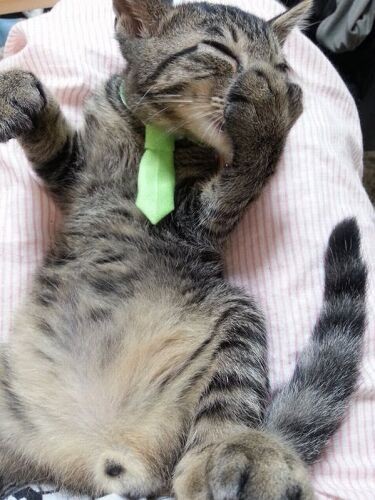 赤ちゃんの時の「指ちゅう」