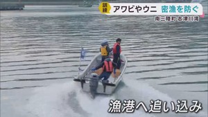 アワビやウニなどの密漁を防ぐ 宮城県警や海上保安署などが訓練
