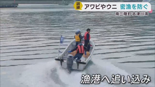 アワビやウニなどの密漁を防ぐ 宮城県警や海上保安署などが訓練
