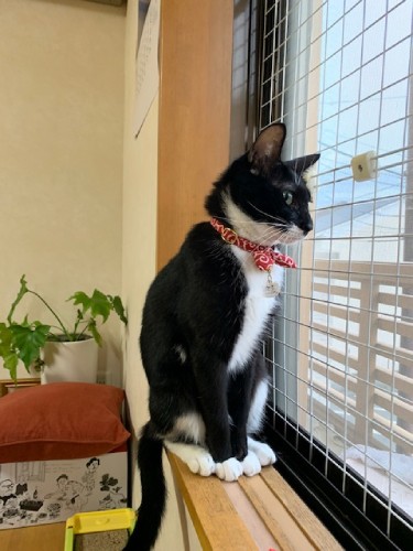 行ってみたいな未知の世界