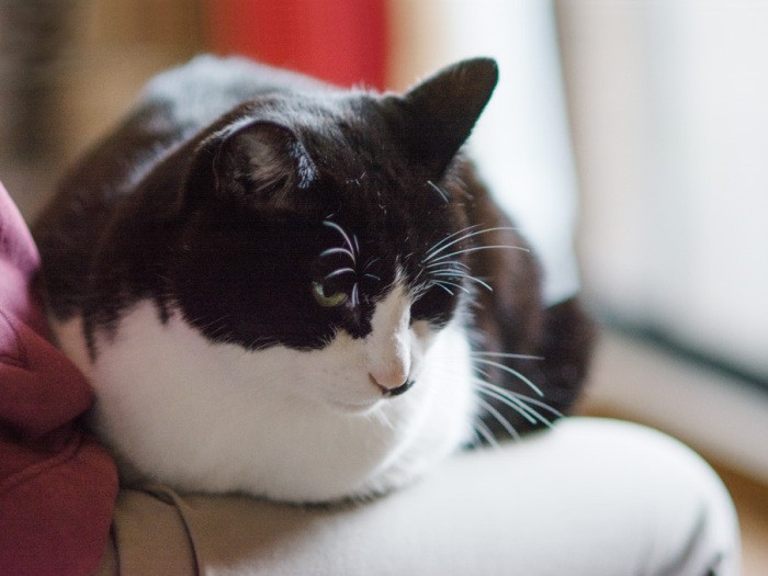 「お腹がすくのは幸せなことだよ」(小林写函撮影)