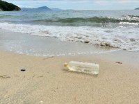 修了者は里海ガイドや海ごみリーダーとして活躍 かがわ里海大学 後期講座の募集開始 香川