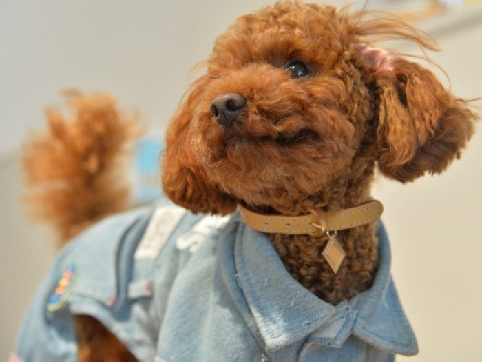 「ふふ、可愛すぎてごめんね」