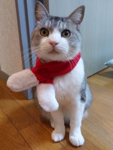 大きなマフラーがキマッてるぜーっと