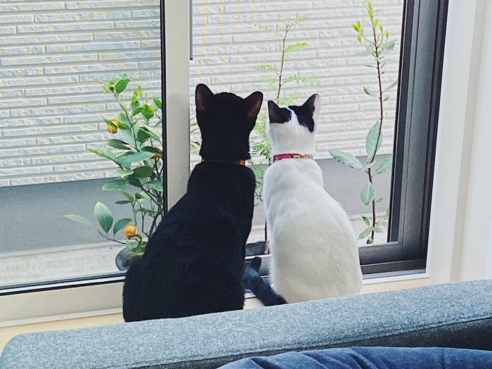 「僕らはライバルにして友だち」。お互いを認め合い、自分の時間も大事にして、たまに共謀も(佳代子さん提供)