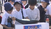 ブランド魚「ひけた鰤」の初出荷 ハマチ養殖発祥の地 東かがわ市引田で 香川