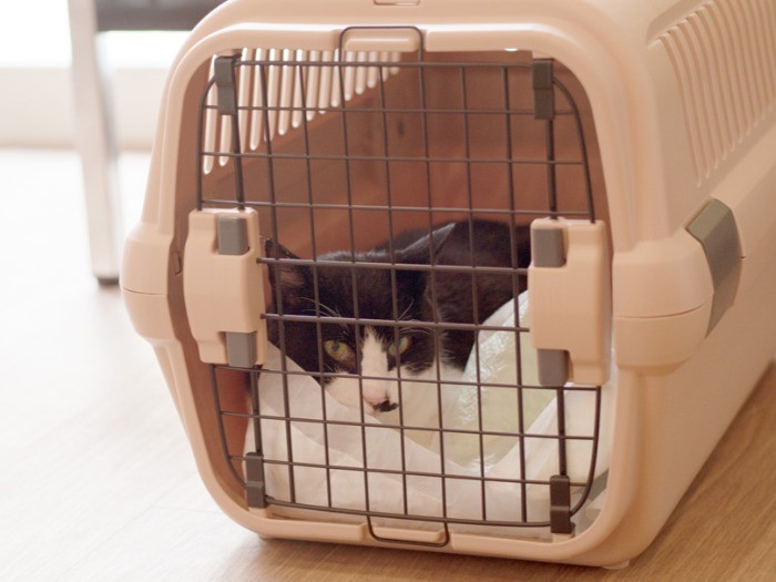 病院の待合室にて。(小林写函撮影)