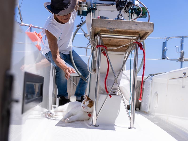 ピンポン球を投入!