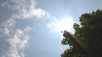 中国地方が「梅雨明け」 平年より6日早く