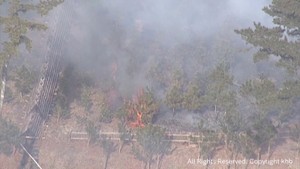 「草を燃やしたら燃え広がった」野焼きが燃え広がったか 仙台・若林区