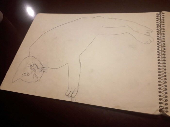 いろんな角度からミーちゃんの様子を描いた。「ミーちゃんブック」から
